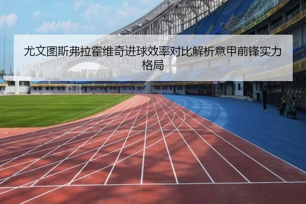 尤文图斯弗拉霍维奇进球效率对比解析意甲前锋实力格局